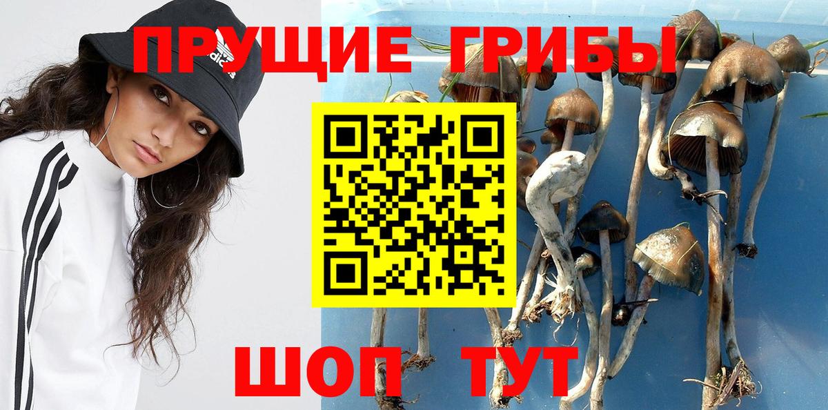 Псилоцибиновые грибы Psilocybe  Галлюциногенные грибы MAGIC MUSHROOMS  Радужный  Вход с VPN 